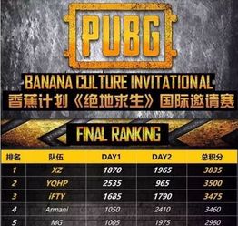 《如龙8》强力输出职业攻略，揭秘新秀崛起之道