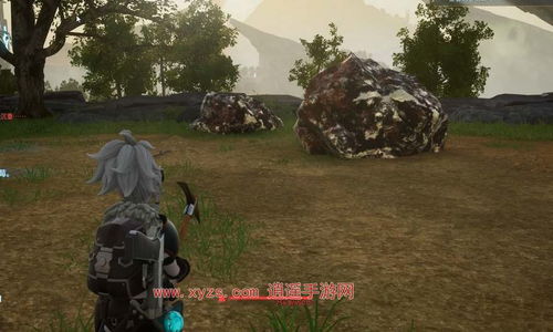 《幻兽帕鲁》挖矿龟捕捉攻略：揭秘高效捕捉秘境