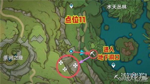 月莲分布探秘：解锁《原神》神秘采集之旅