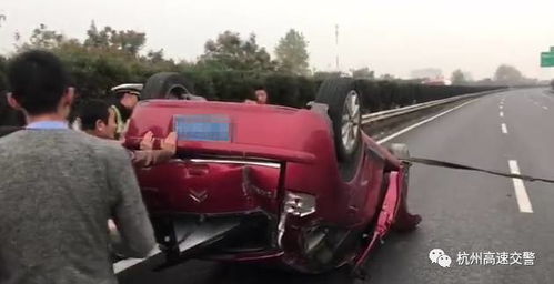 陈可辛惊险避狗撞树，导演驾车瞬间引发关注