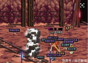 《博德之门3》马戏团转盘装备盘点：解锁神秘新道具攻略