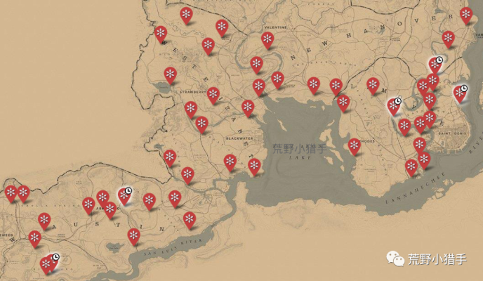 《荒野大镖客2》地图速览攻略，高效开图技巧全解析