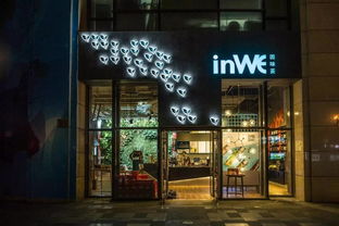 《白荆回廊》午后茶香秘籍大公开，解锁全新味蕾体验