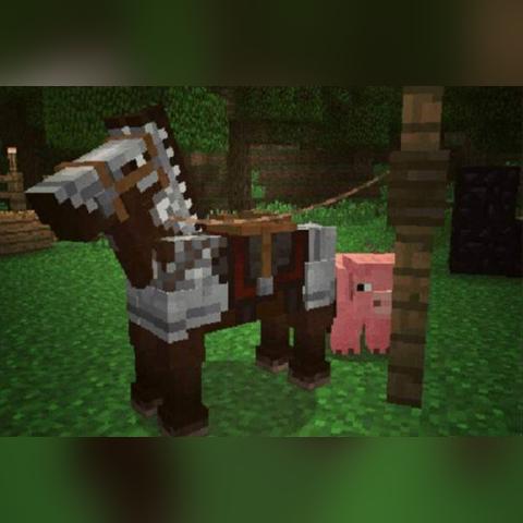 《荒野大镖客2》驯服技巧解析：高效马匹驯服新攻略