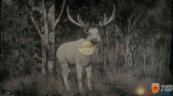 《荒野大镖客2》麋鹿分布攻略，探秘荒野珍稀动物踪迹