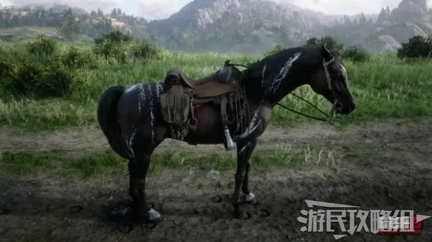 《荒野大镖客2》顶级马匹攻略：马匹排名与获取技巧大揭秘
