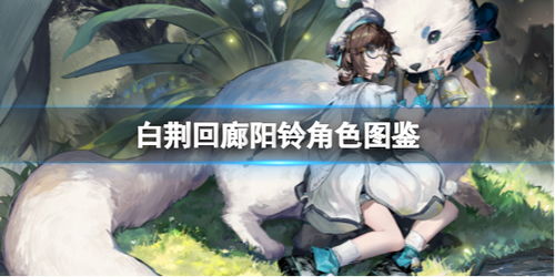 《白荆回廊》角色实力排行，深度解析新视角！