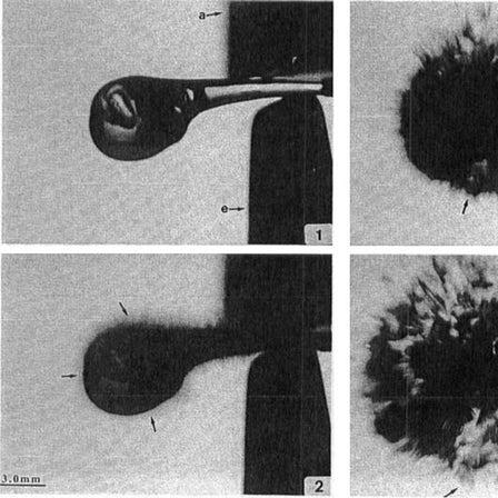 《塞尔达传说王国之泪》挑战攻略：深度解析泪之奥秘攻略秘籍