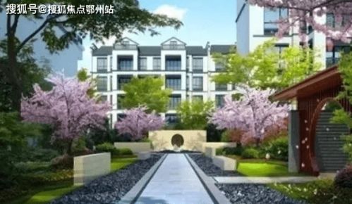 夏沃蕾站场超载流配队攻略，深度解析新战术价值