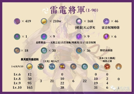 雷电将军高效培养秘籍：省流版配装攻略全解析