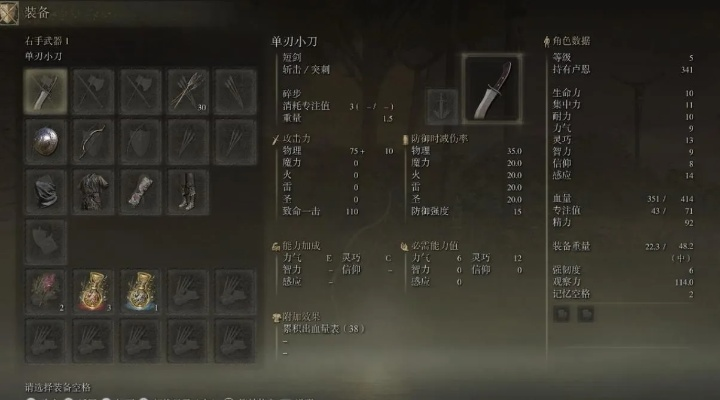 《艾尔登法环》超低掉率秘籍：揭秘稀世装备获取攻略