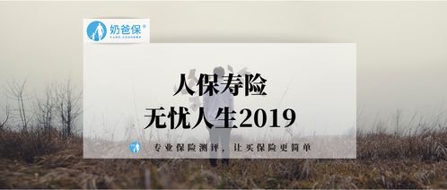 明镜赛季通行证深度测评：性价比解析，值得入手吗？