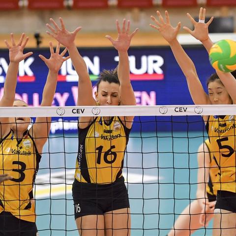 《交错战线》T0阵容攻略：揭秘全新战术价值解析