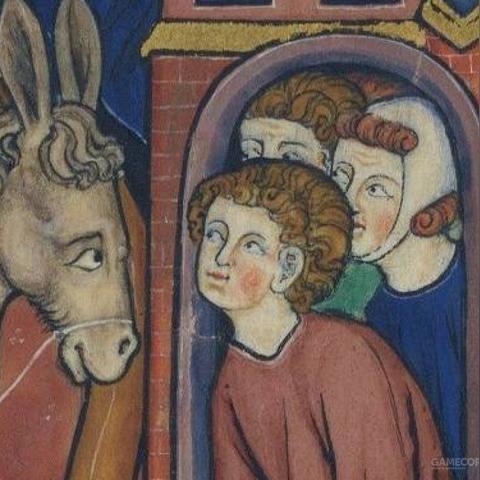 四神殿速解秘籍，掌握王国之泪新攻略精髓