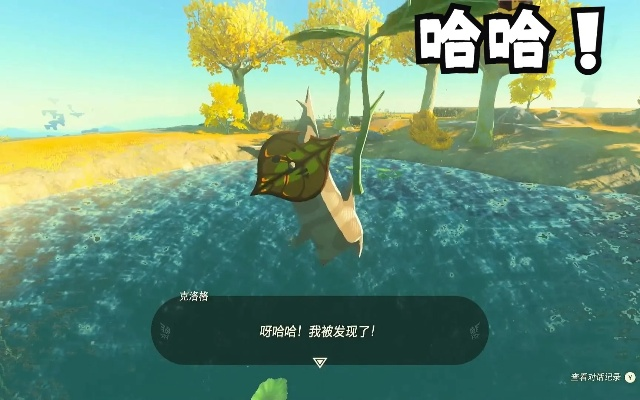 《塞尔达传说泪滴攻略》呀哈哈解谜秘籍大汇总