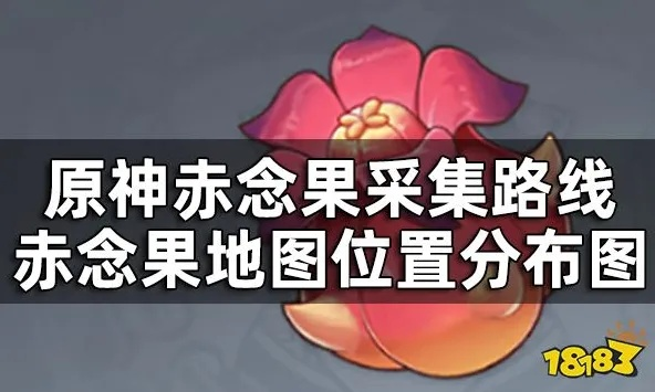 《原神》4.3赤念果高效采集攻略，解锁全新资源价值点