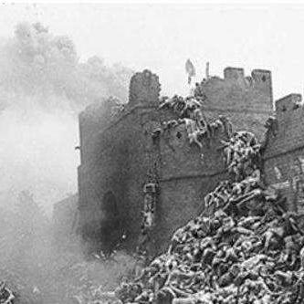 《交错战线》六星角色新手必选指南：揭秘最强阵容配置