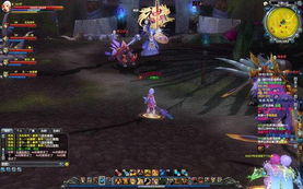 万兽山庄宠物领养攻略：解锁新队友招募秘籍