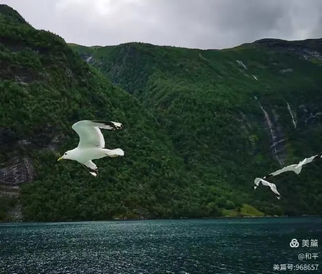 北欧仙境翱翔，VORON飞行冒险启航