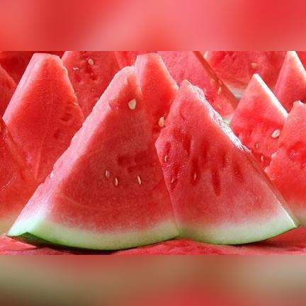 《崩坏星穹铁道》1.6忘却之庭高效通关秘籍，解锁全新战斗技巧