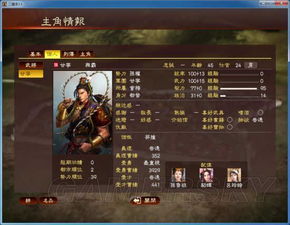 三国天下甘宁核爆队攻略：高效阵容解析，战力飙升新秘籍