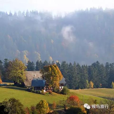 《巫师3》高效刷怪升级秘境攻略，速成指南！