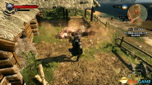 《巫师3》高效刷猪羊皮攻略：揭秘快速赚钱新技巧