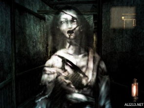 惊悚重启！《零：红蝶RE》预售开启，惊悚体验低至￥238.4，沉浸式恐怖新篇章！