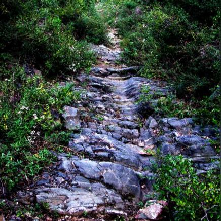 远古石道攻略：深度解析《元梦之星》神秘探险之旅