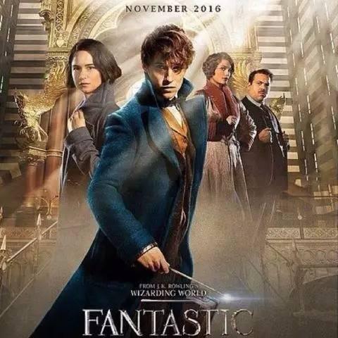 《元梦之星》猫头鹰攻略：深度解析猫头鹰游戏玩法技巧