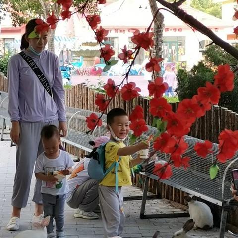 猫技惊人！恋爱游戏《会翻猫》带你体验萌宠奇缘