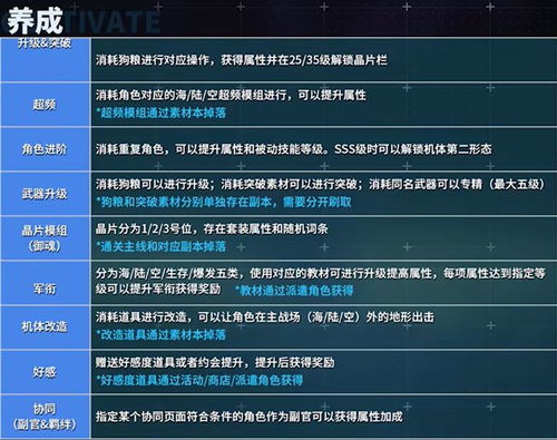 新手S级角色攻略：四选一，如何精准锁定最强潜力股？