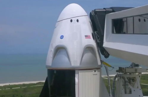 飞船装载极限揭秘：揭秘Lethal Company高效装载策略