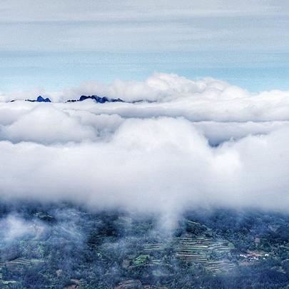 《致命公司全图揭秘：天气效应与战略新视角》