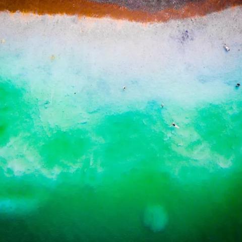 《不死鸟法师新解：揭秘元素之力与生命奥秘》