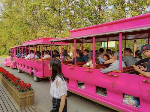 神里绫人抽卡必看！深度解析其培养价值与策略