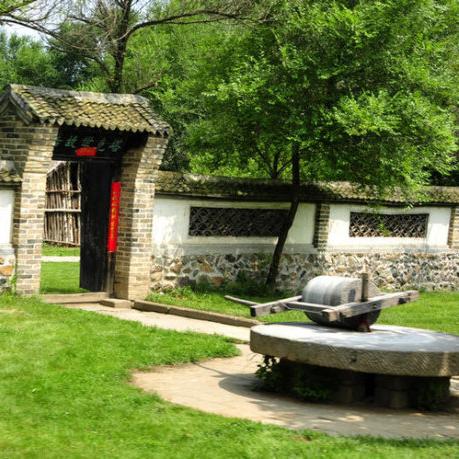 莲花古城不死鸟攻略：高效打法解析，掌握胜利之道