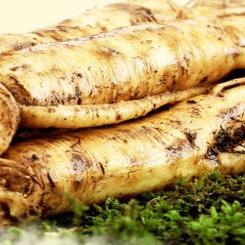 原神草国队阵容深度解析，纳行久搭配攻略全揭秘