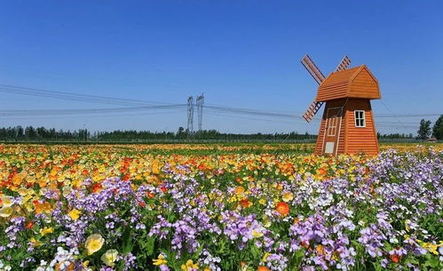 花仙子种花私服踩坑？2025年高收益版本+种植神技全揭秘