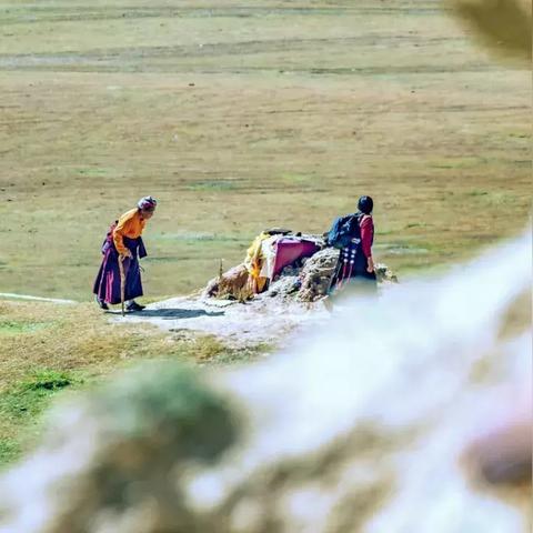 《绝区零》二测卡池揭秘：限定与常驻池价值解析