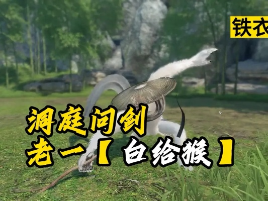 洞庭问剑白猿公攻略：高效打法新技巧解析