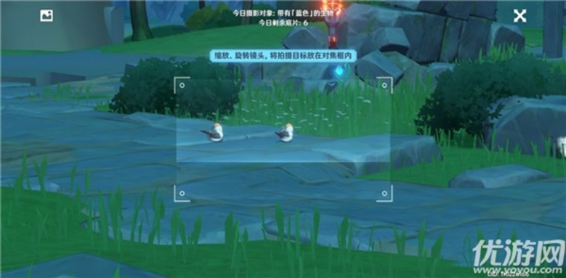 《原神》4.2拍照活动第六日：探寻神秘无腿生物攻略解析
