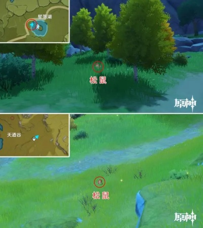 《原神》4.2速拍攻略：无腿生物捕捉秘境推荐，一镜到底体验新境界