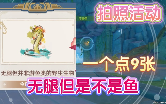 《原神》第六日探秘：无腿非游鱼生物独特拍照点攻略揭晓