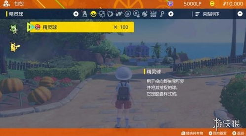 《原神》盗宝团刷新点揭秘攻略，一网打尽宝藏秘境