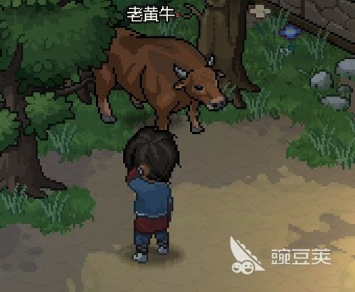 《大侠立志传》村长蒲扇寻踪：揭秘无名村长扇子获取秘籍