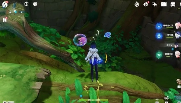 《原神》紫物产拍照秘境探秘，第五日攻略分享新视角