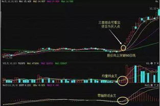《原神》速拍秘籍：捕捉翅膀怪形，掌握精准捕捉技巧