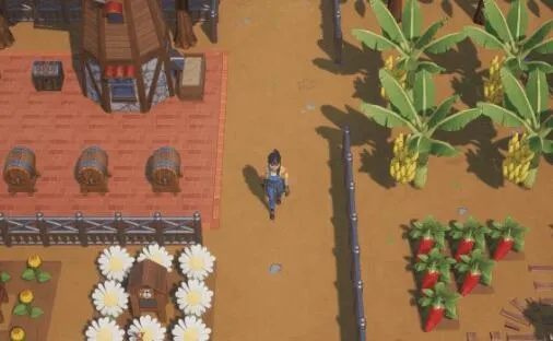 珊瑚岛NPC礼物偏好大揭秘，解锁个性互动新篇章