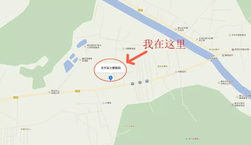 绥园地图攻略全解析：高效收集攻略秘籍大公开